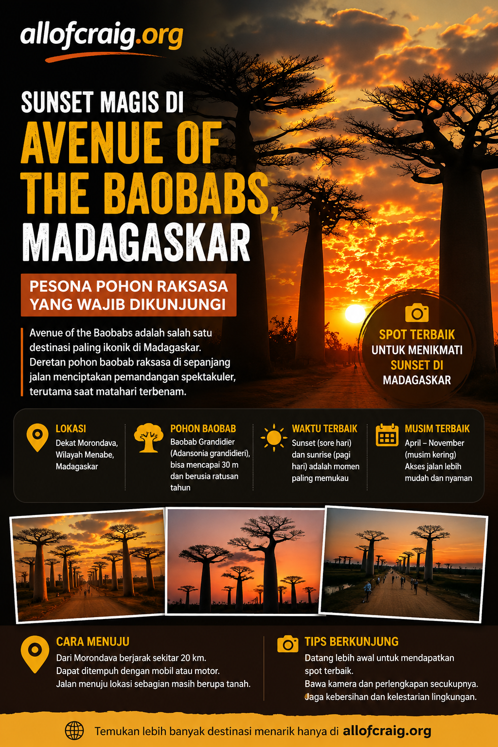Menikmati Sunset di Avenue of the Baobabs, Pesona Pohon Raksasa Ikonik Madagaskar