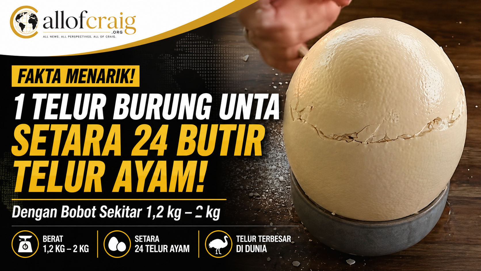 Fakta Telur Burung Unta, Satu Butir Bisa Setara 24 Telur Ayam dengan Berat Hingga 2 Kilogram